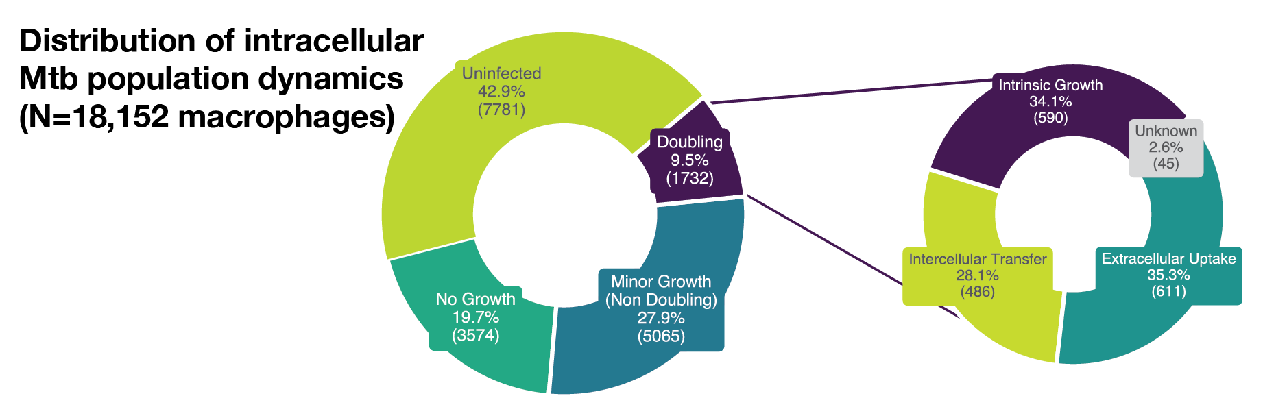 Supplementary Figure S1D